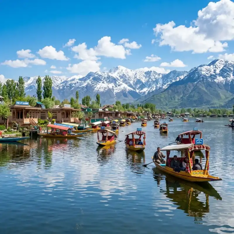 Kashmir Paradise Tour Srinagar Gulmarg Pahalgam Sonmarg Group Tour